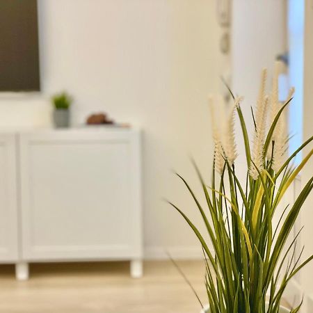 Appartamento Casa Manzoni Deluxe Mxp Town Center Gallarate Esterno foto